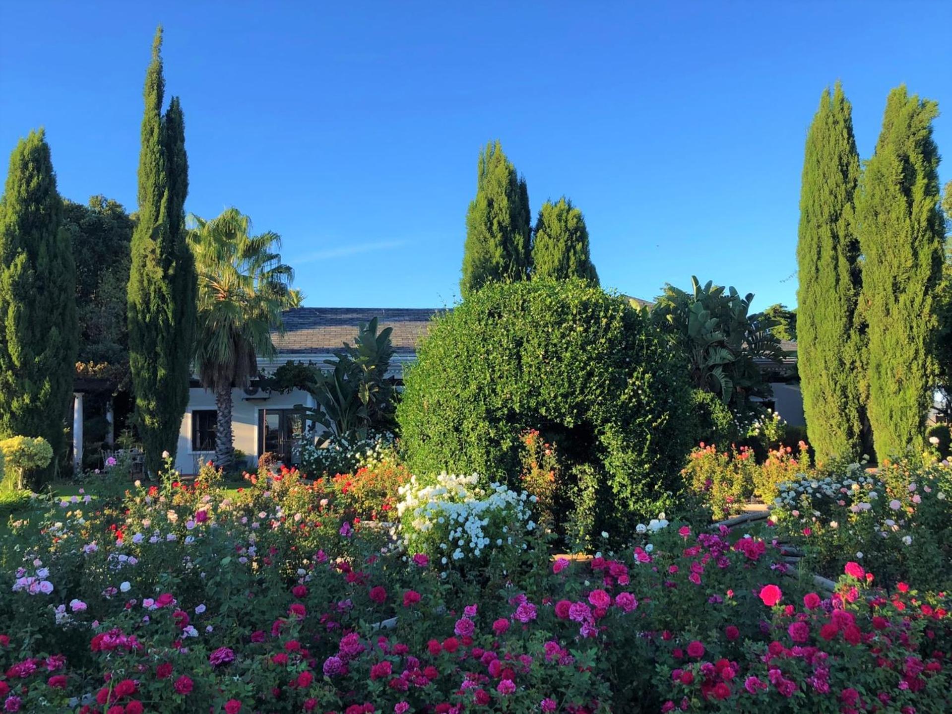 Bakenhof Winelands Lodge Paarl Exteriér fotografie