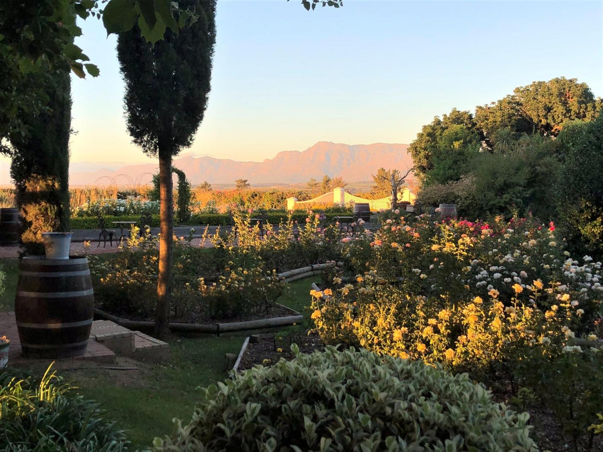 Bakenhof Winelands Lodge Paarl Exteriér fotografie